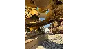 17.webp