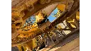 19.webp